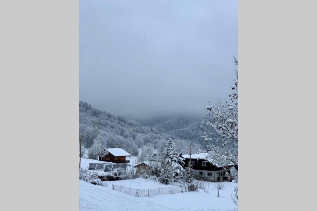 Appartement Lumineux Coeur De Station Thollon-les-Memises Екстер'єр фото